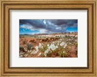 Framed Evening Primrose In The Grand Staircase Escalante National Monument