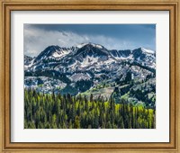 Framed Snow Covered Mountain From Guardsman's Pass Road