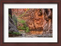 Framed Zion Narrows, Utah