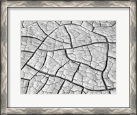Framed Wahweap Mud Cracks, Arizona