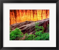 Framed Escalante Neon Canyon, Utah