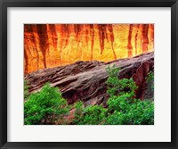 Framed Escalante Neon Canyon, Utah