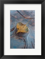 Framed Leaf With Frozen Ice Pattern