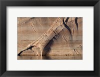 Framed Sandstone Canyon Wall Detail, Utah
