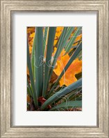 Framed Detail Of Yucca And Yellow Maple Leaves