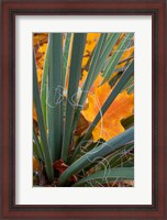 Framed Detail Of Yucca And Yellow Maple Leaves