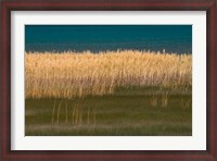 Framed Grasses Blowing In The Breeze Along The Shore Of Bear Lake, Utah