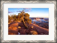 Framed Overlook Vista At Canyonlands National Park, Utah