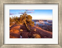 Framed Overlook Vista At Canyonlands National Park, Utah