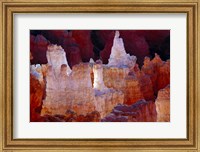 Framed Hoodoos At Sunrise Point, Bryce Canyon National Park, Utah