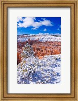 Framed Fresh Powder On Rock Formations In The Silent City, Utah