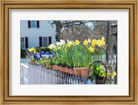 Framed Garden At Colonial Williamsburg, Virginia