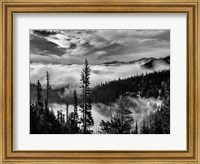 Framed Olympic National Park, Washington (BW)