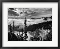 Framed Olympic National Park, Washington (BW)