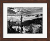 Framed Olympic National Park, Washington (BW)