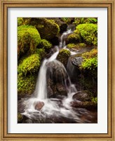 Framed Creek In Sol Duc Valley, Washington