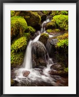 Framed Creek In Sol Duc Valley, Washington