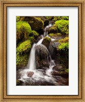 Framed Creek In Sol Duc Valley, Washington