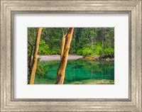 Framed Secluded Bay On Sucia Island, Washington State