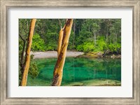 Framed Secluded Bay On Sucia Island, Washington State