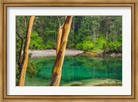 Framed Secluded Bay On Sucia Island, Washington State