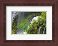 Framed Spring Scene At Panther Creek Waterfall, Washington State