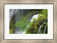 Framed Spring Scene At Panther Creek Waterfall, Washington State