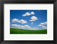 Framed Green Wheat Field Landscape, Washington State