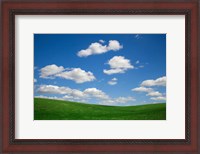 Framed Green Wheat Field Landscape, Washington State