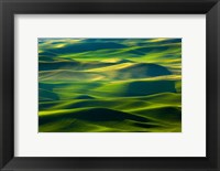 Framed Country Landscape Viewed From Steptoe Butte