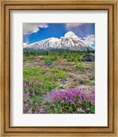 Framed Mount Saint Helens Landscape, Washington State