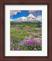 Framed Mount Saint Helens Landscape, Washington State