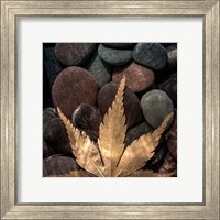 Framed Maple Leaf On Rocks