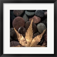 Framed Maple Leaf On Rocks