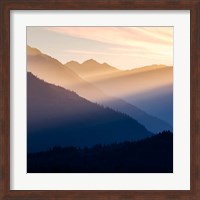 Framed Sunset In The Olympic National Forest