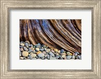 Framed Beach Rocks And Driftwood