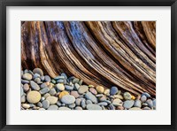 Framed Beach Rocks And Driftwood