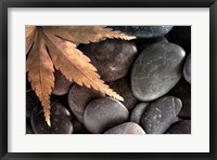 Framed Zen Maple Leaf On Rocks