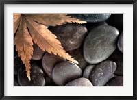 Framed Zen Maple Leaf On Rocks