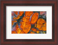 Framed Wingate Pass Agate