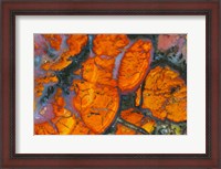 Framed Wingate Pass Agate