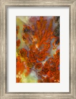 Framed Plume Agate