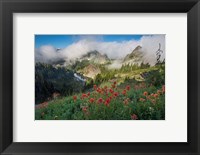 Framed Indian Paintbrush Landscape Near The Tatoosh Range