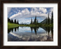 Framed Mt Rainier And Clouds Reflecting In Upper Tipsoo Lake