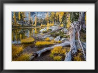 Framed Horseshoe Lake Landscape In The Alpine Lakes Wilderness