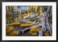 Framed Horseshoe Lake Landscape In The Alpine Lakes Wilderness