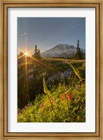 Framed Sunset At Mazama Ridge, Washington