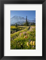 Framed Paradise Area Landscape Of Mt Rainier National Park