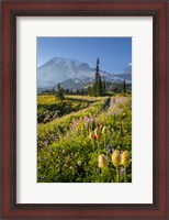 Framed Paradise Area Landscape Of Mt Rainier National Park