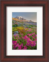 Framed Lewis's Monkeyflower Along The Panorama Trail